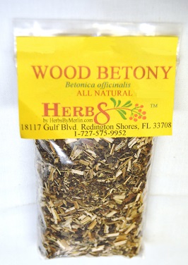 Wood Betony (Betonica officinalis)
